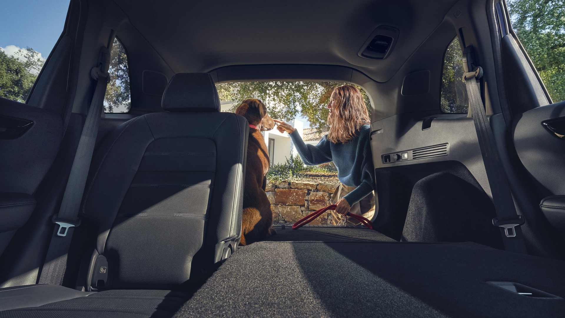 Arrière d'une Honda CR-V hybride avec les sièges arrière rabattus et un chien dans le coffre.