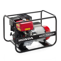 Groupe &eacute;lectrog&egrave;ne Endurance.