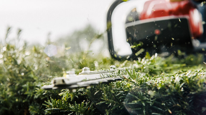 Taille-haie en utilisation.