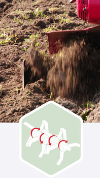 Motobineuse &eacute;quip&eacute;e d'outils rotatifs, sch&eacute;ma mettant en &eacute;vidence les fraises contre-rotatives, dans un jardin.