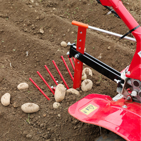 Motoculteur transformable avec, en option, une arracheuse de pommes de terre, dans un jardin.