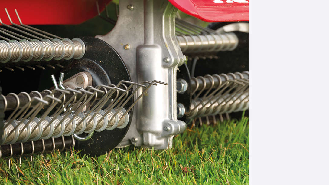 Gros plan de l'&eacute;mousseur dans un jardin.