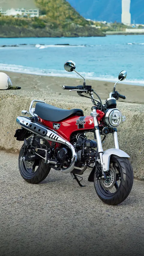 Honda Dax 125 avec la côte en toile de fond