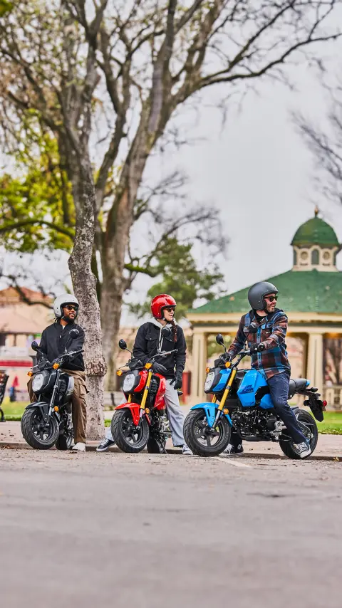 Les pilotes du MSX125 Grom roulent ensemble