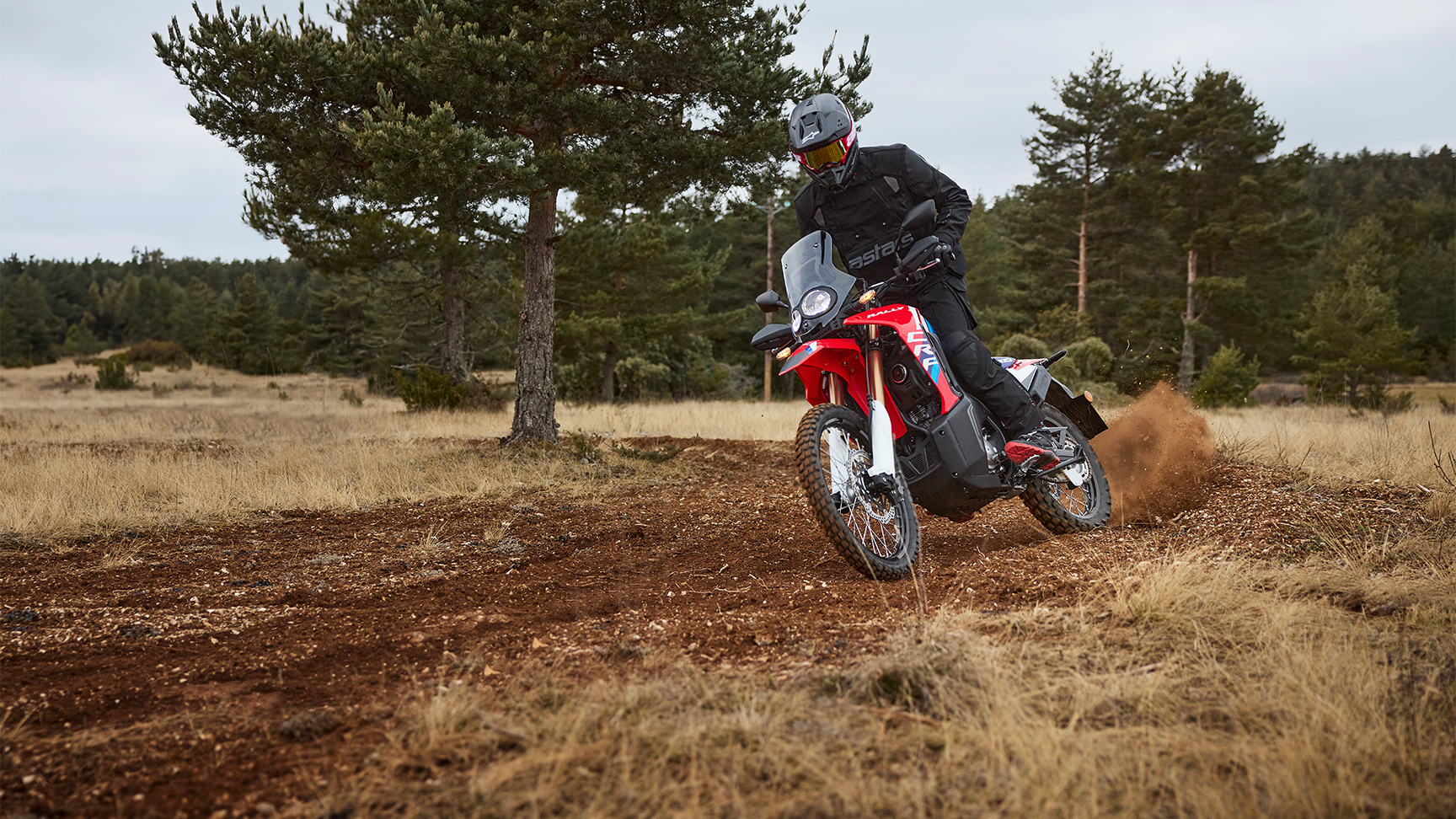 Honda CRF300L et CRF300 Rally.