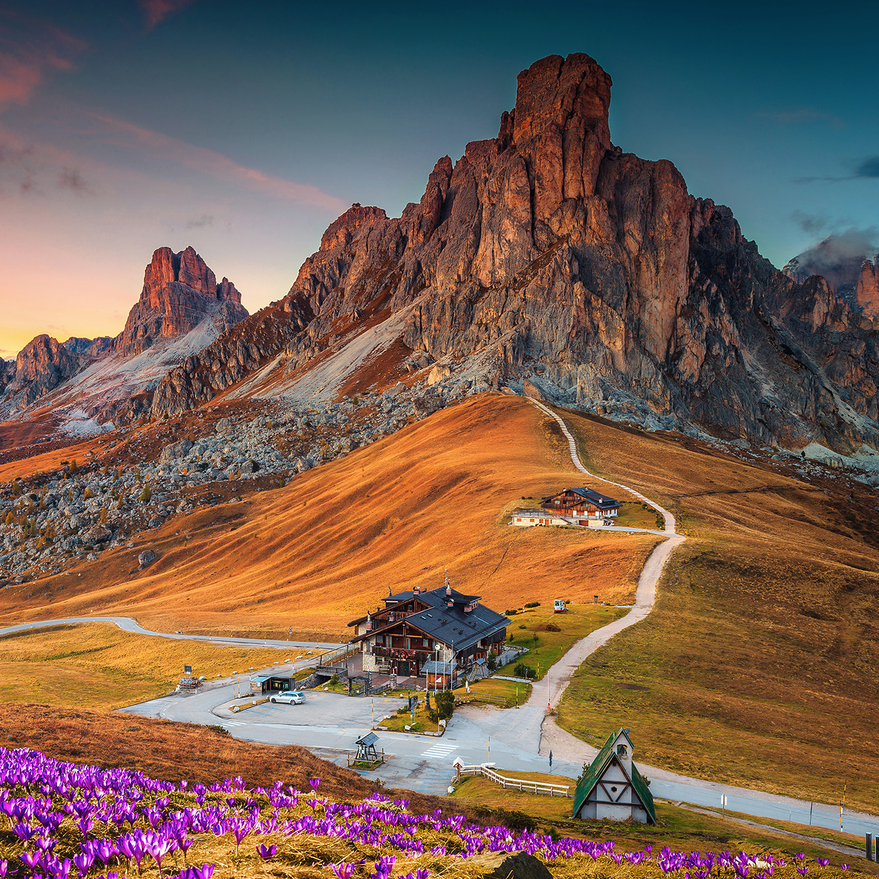 Magnifique paysage alpin orné de fleurs de crocus de printemps sur collines et montagnes spectaculaires au coucher du soleil, col de Giau, Dolomites, Italie, Europe