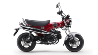 DAX 125 2024 Pearl Nebula Red