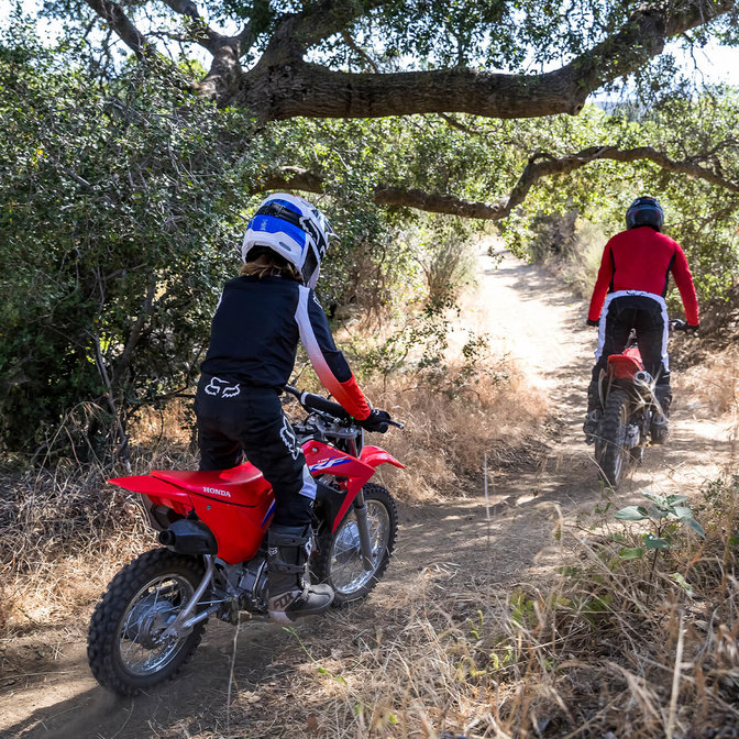 CRF110F Une conduite facile