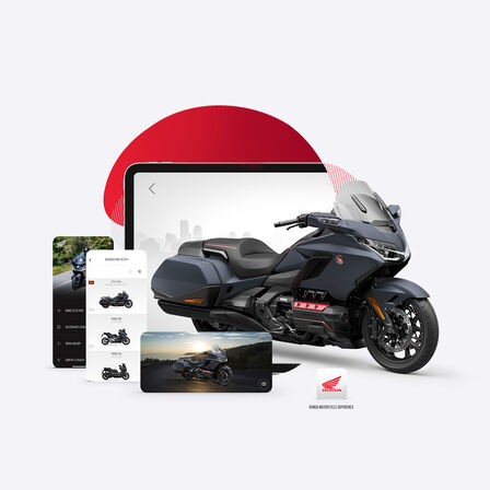 Vue de l'application HONDA GL800 gold wing