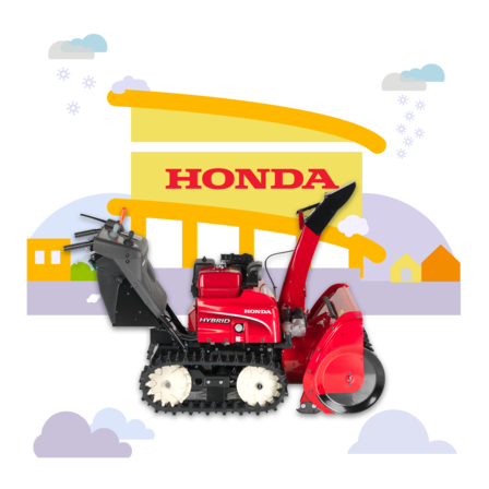 Fraises à neige, illustration revendeur